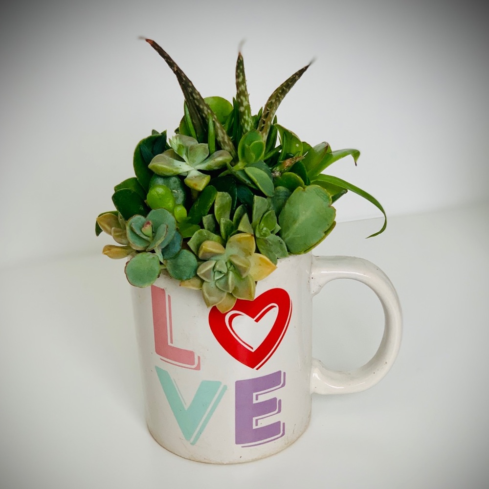 LOVE Mug with Succulents